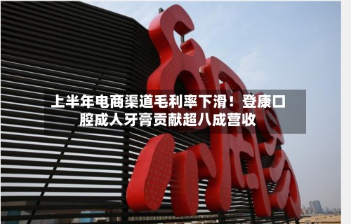 上半年电商渠道毛利率下滑！登康口腔成人牙膏贡献超八成营收